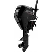 Mercury F 15 M small